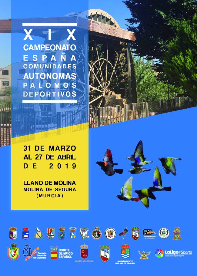 XIX Campeonato de Espaa Comunidades Autnomas de Palomos Deportivos 2019-molina.jpg